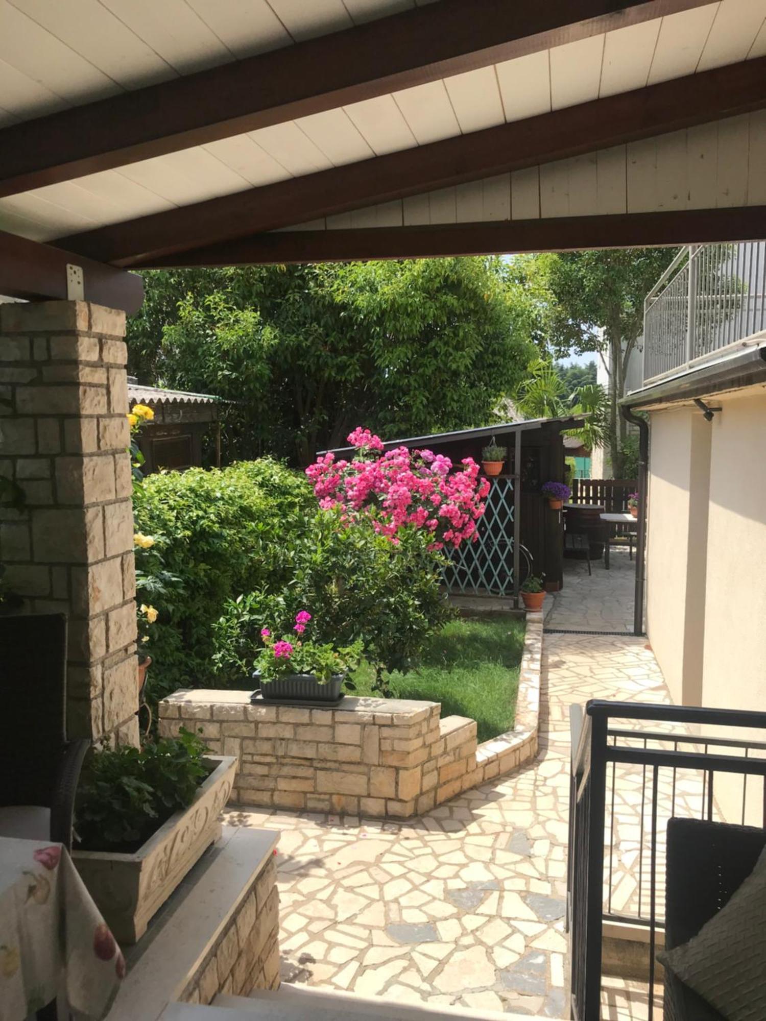 App Sorgo Apartment Novigrad  Ngoại thất bức ảnh