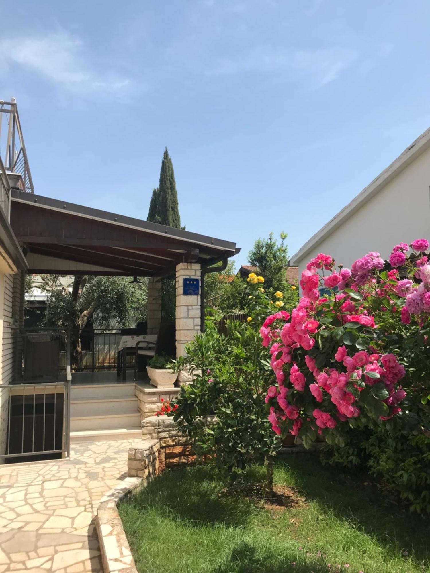 App Sorgo Apartment Novigrad  Ngoại thất bức ảnh