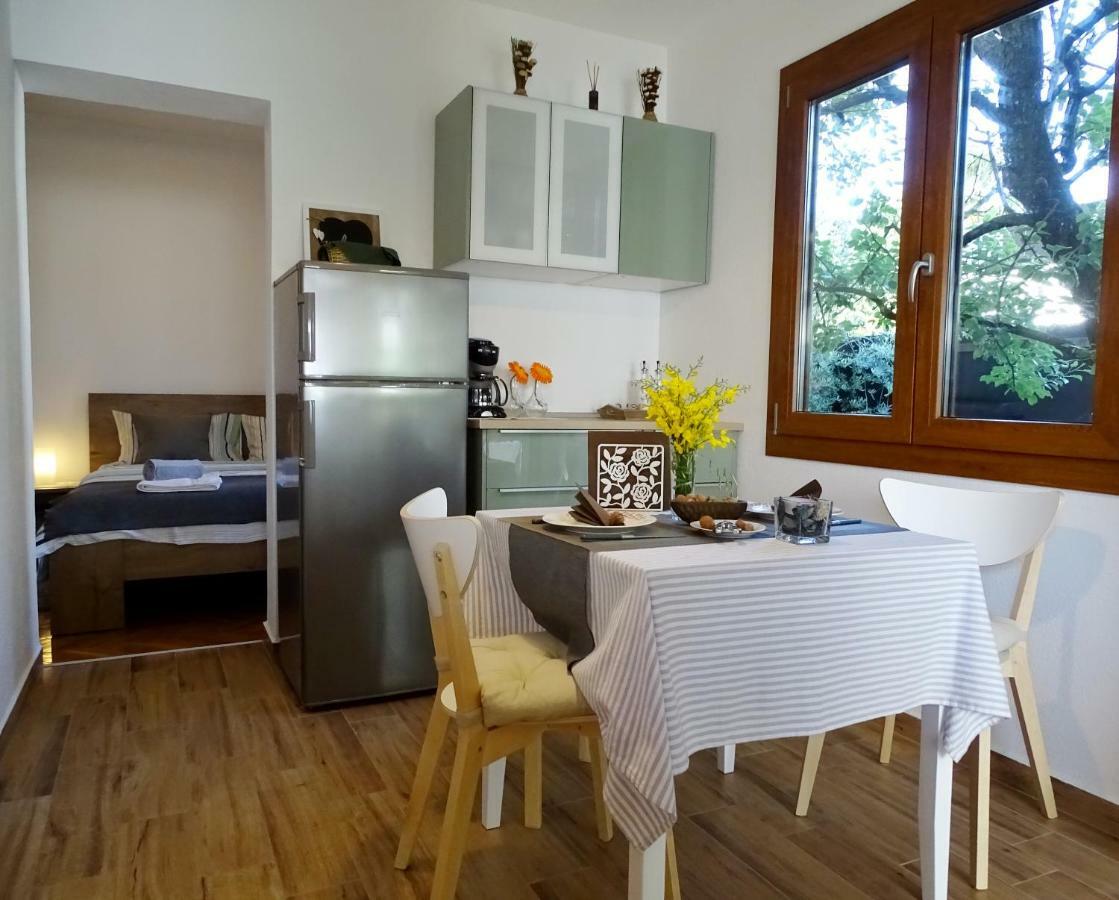 App Sorgo Apartment Novigrad  Ngoại thất bức ảnh